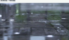 下雨的视频,捕捉自然旋律的瞬间