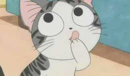 起司猫动漫,萌宠奇遇记，探索奇幻美食世界