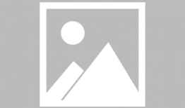 我在星际直播养崽91