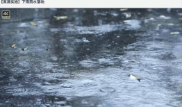 下雨的视频,捕捉自然旋律的瞬间